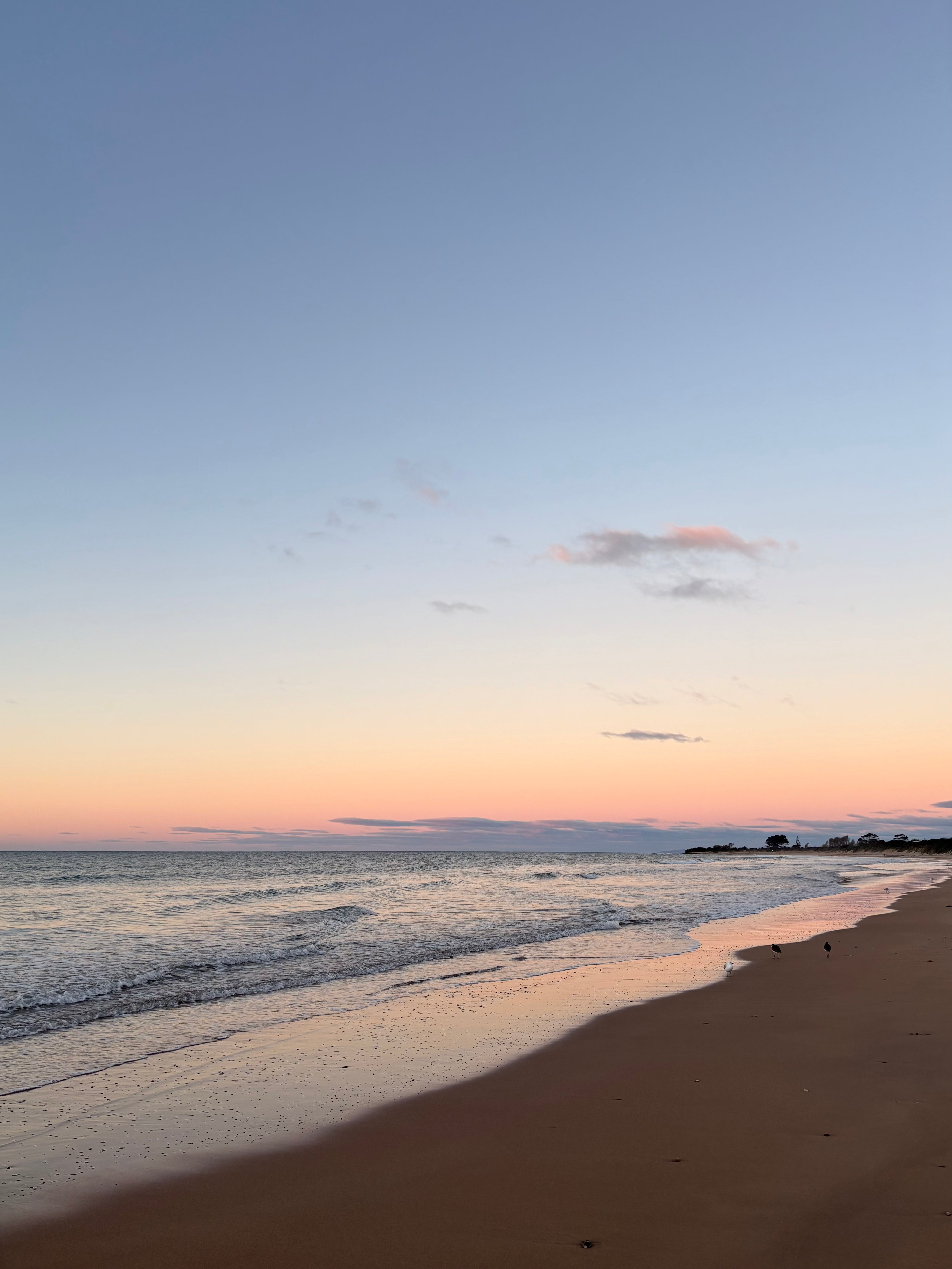 The Tasmania Collection
