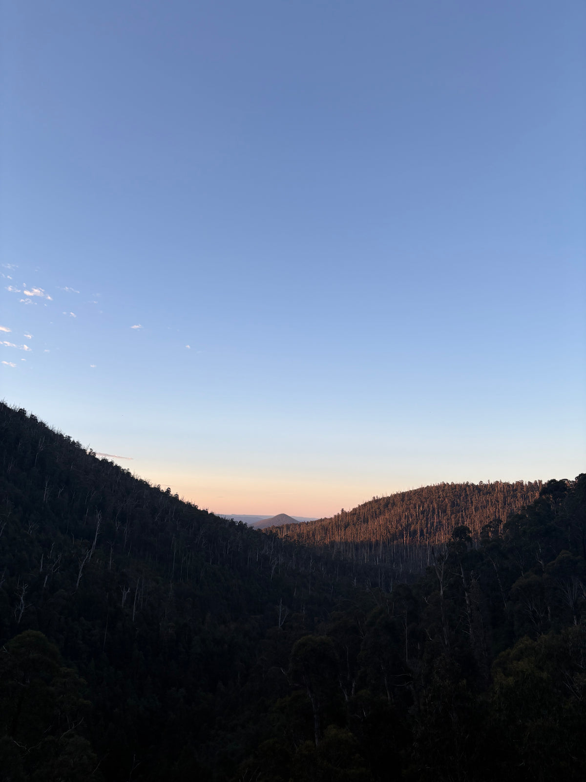 The Yarra Valley Collection