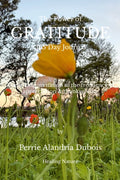 Book Cover Variant Thumbnail